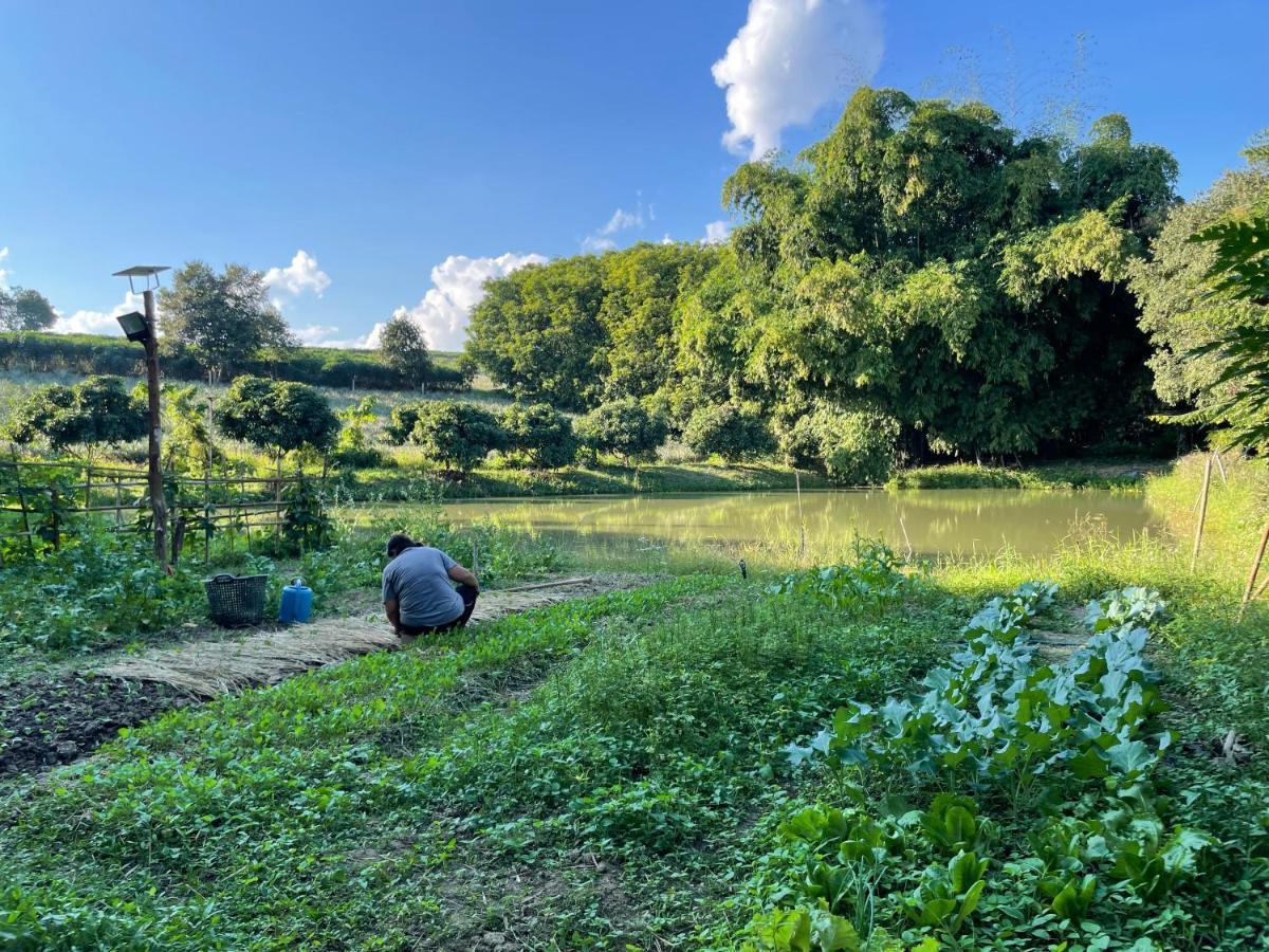 Punpawn ปั๋นปอนด์ Farm Stay Chiang Saen Exterior photo